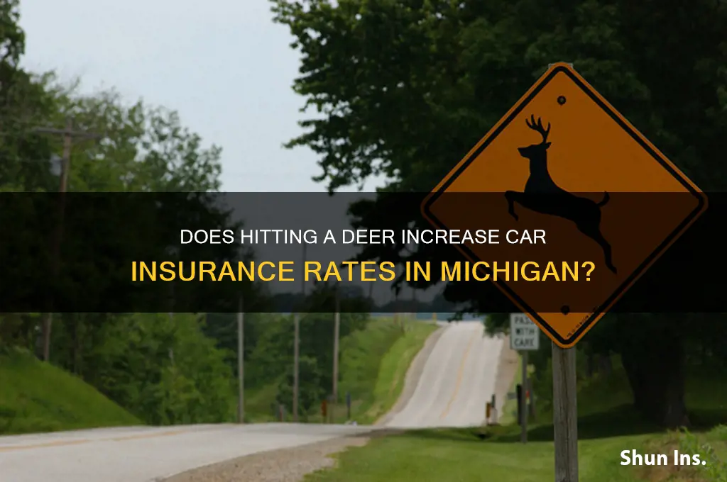 does hitting a deer raise your insurance in michigan