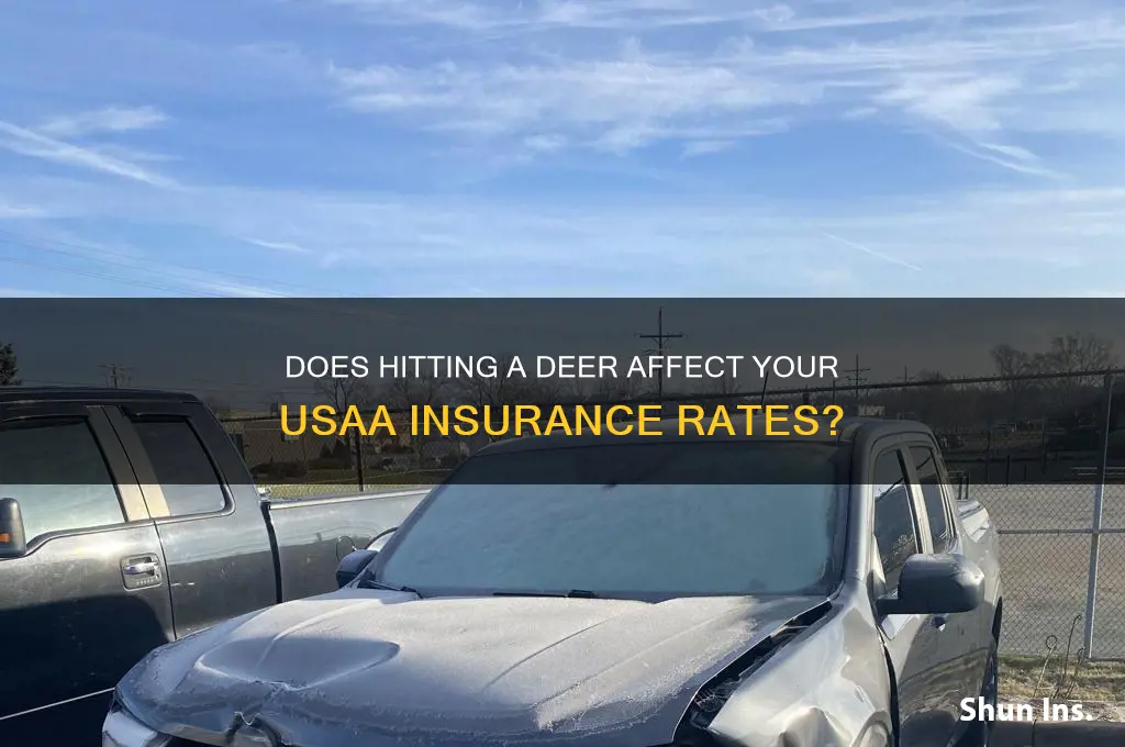 does hitting a deer raise your insurance usaa
