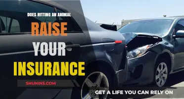 Does Hitting an Animal Increase Your Car Insurance Premiums?