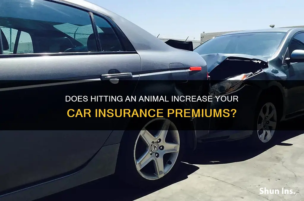 does hitting an animal raise your insurance