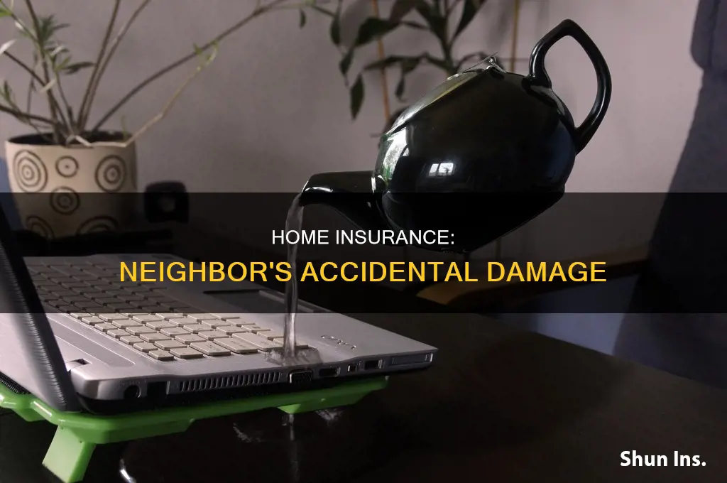 does hmeowners insurance cvrr accidental damage to neighbors house