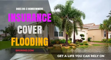 Homeowners Insurance: Does HO-3 Cover Flood Damage?