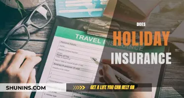 Does Holiday Insurance Cover Trip Cancellations and Lost Luggage?