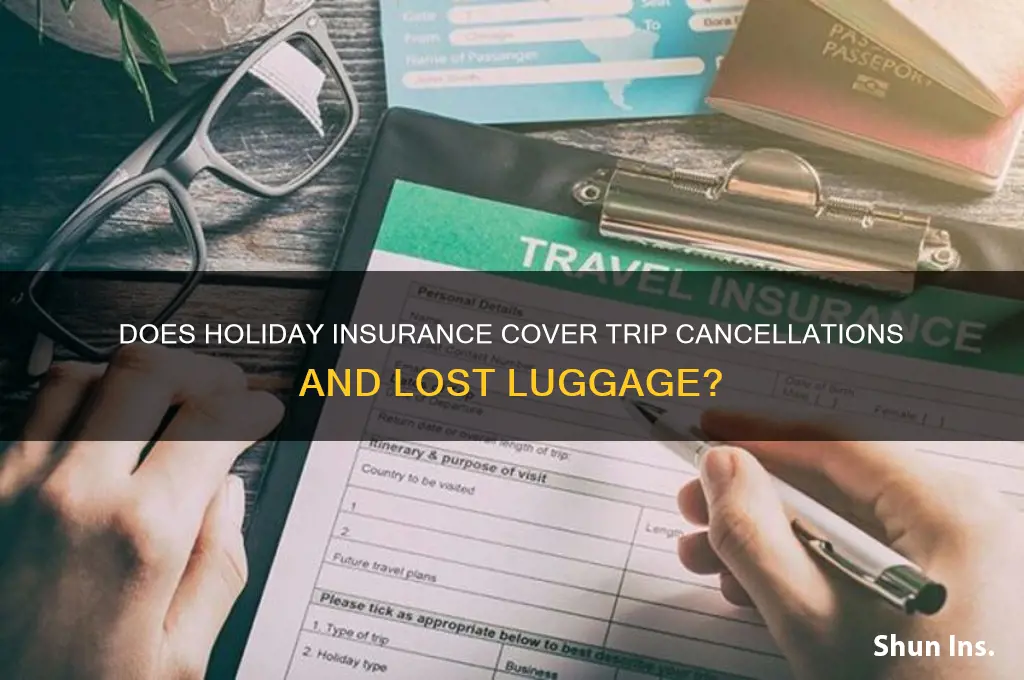 does holiday insurance