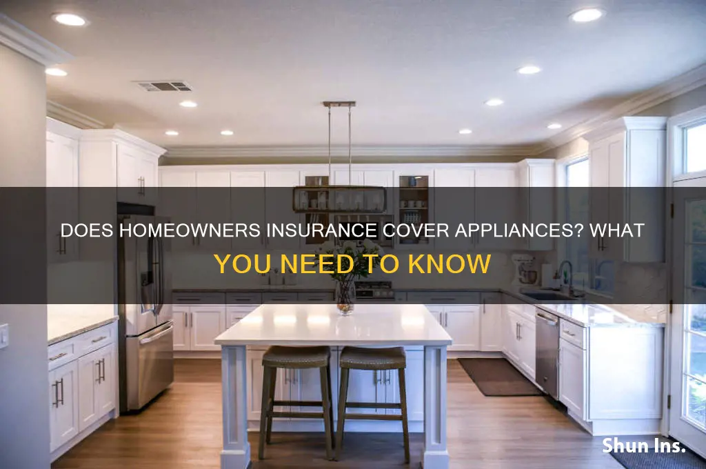 does homeiwners insurance civer appliances