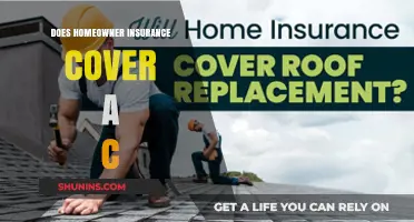 Homeowner Insurance: Does it Cover a C?