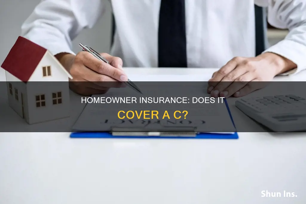 does homeowner insurance cover a c
