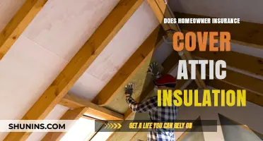 Homeowner Insurance: What's Covered in Attic Insulation?