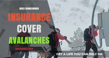 Avalanche Coverage: Is Your Homeowner's Insurance Enough?