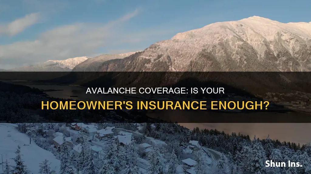 does homeowner insurance cover avalanches