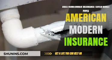 Homeowner Insurance: What's Covered for Burst Pipes?