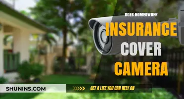 Homeowner Insurance: What's Covered for Your Camera?