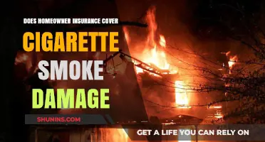 Homeowner Insurance: Does It Cover Cigarette Smoke Damage?