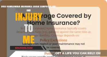 Homeowner Insurance: Fire, Injury, and Computer Coverage