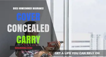 Homeowner Insurance: Concealed Carry Coverage?