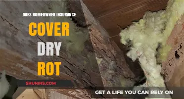 Homeowner Insurance: Dry Rot Covered?