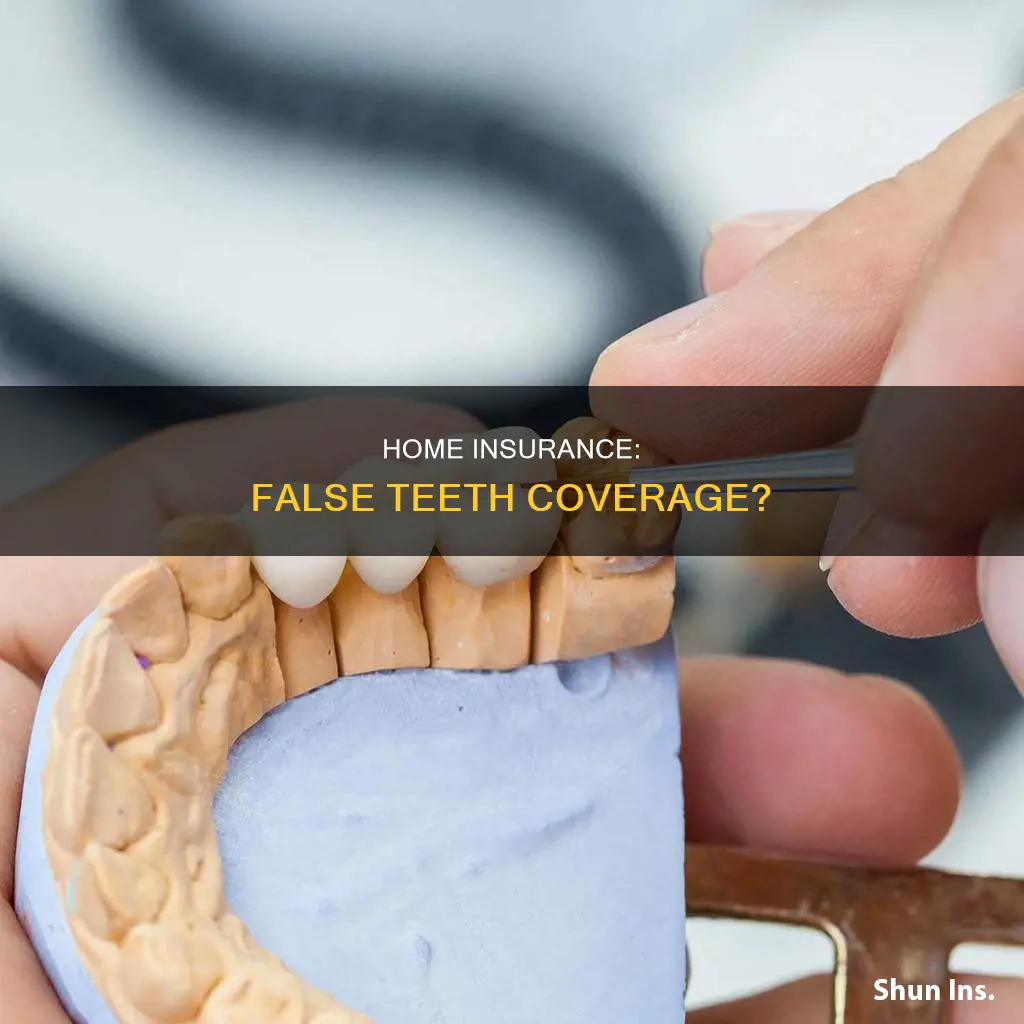 does homeowner insurance cover false teeth