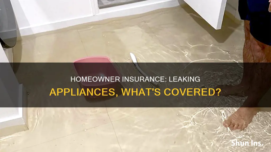 does homeowner insurance cover leaking appliance damage