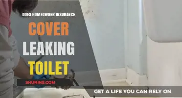 Homeowner Insurance: Leaking Toilet Covered?