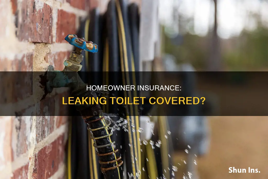 does homeowner insurance cover leaking toilet