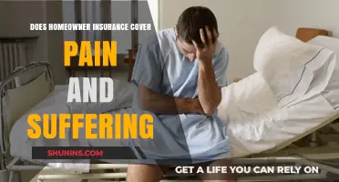 Homeowner Insurance: Does It Cover Pain and Suffering?