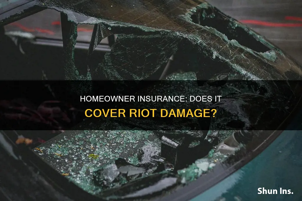 does homeowner insurance cover riot damage