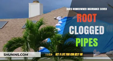 Homeowner Insurance: Root-Clogged Pipes Covered?