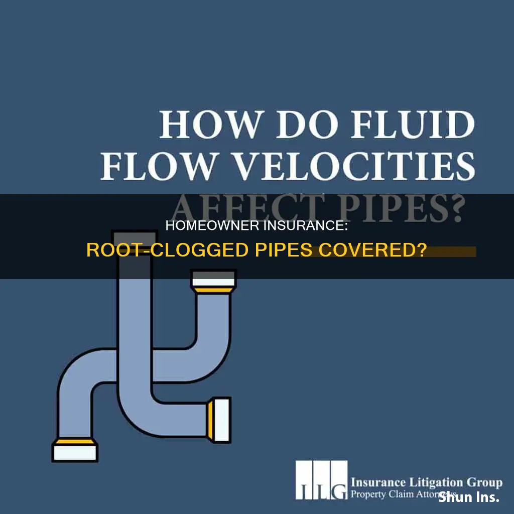 does homeowner insurance cover root clogged pipes
