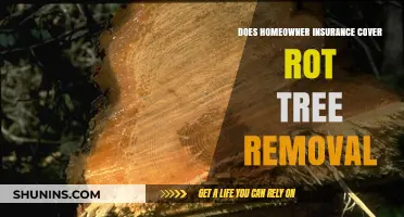 Homeowner Insurance: Tree Rot Removal Covered?