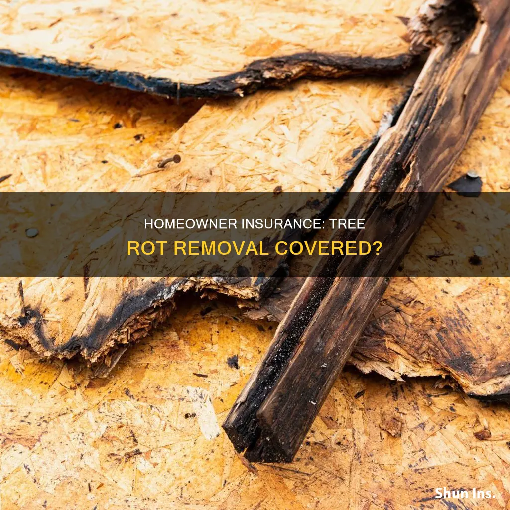 does homeowner insurance cover rot tree removal