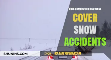 Homeowner Insurance: Snow Accidents Covered?