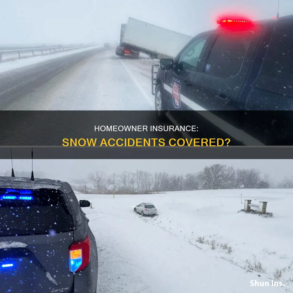 does homeowner insurance cover snow accidents