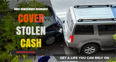 Homeowner Insurance: Does It Cover Stolen Cash?