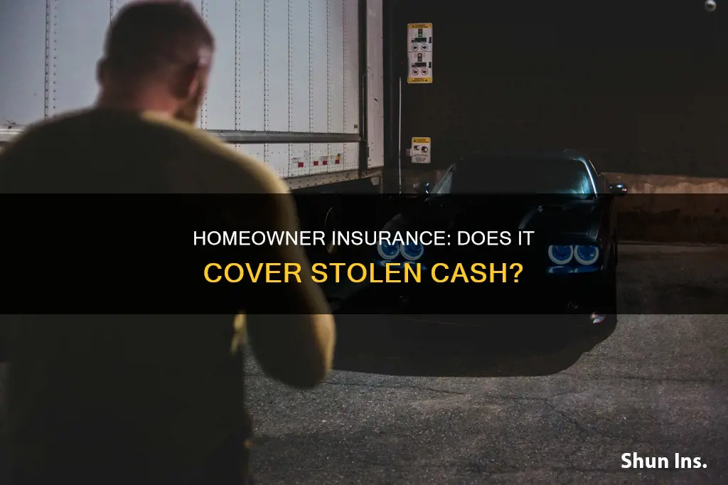does homeowner insurance cover stolen cash