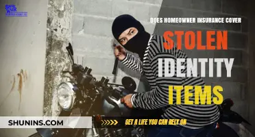 Homeowner Insurance: What's Covered for Stolen Identity?