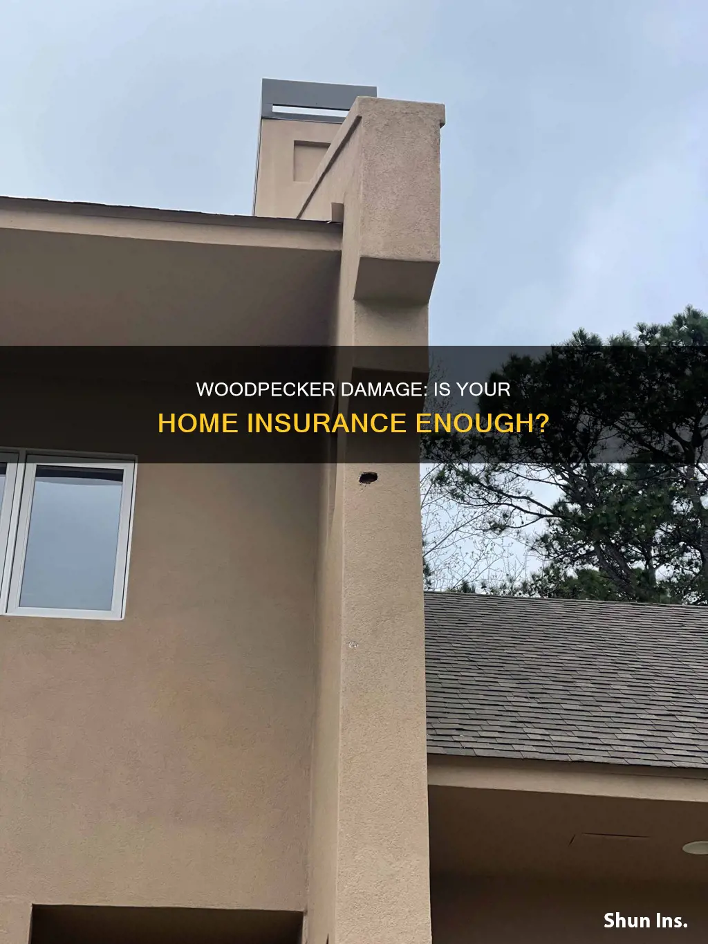 does homeowner insurance cover woodpecker damage