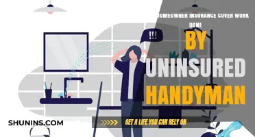 Handyman Mishaps: Is Your Homeowner Insurance at Risk?