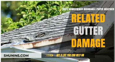 Homeowner Insurance: Gutter Damage Covered?