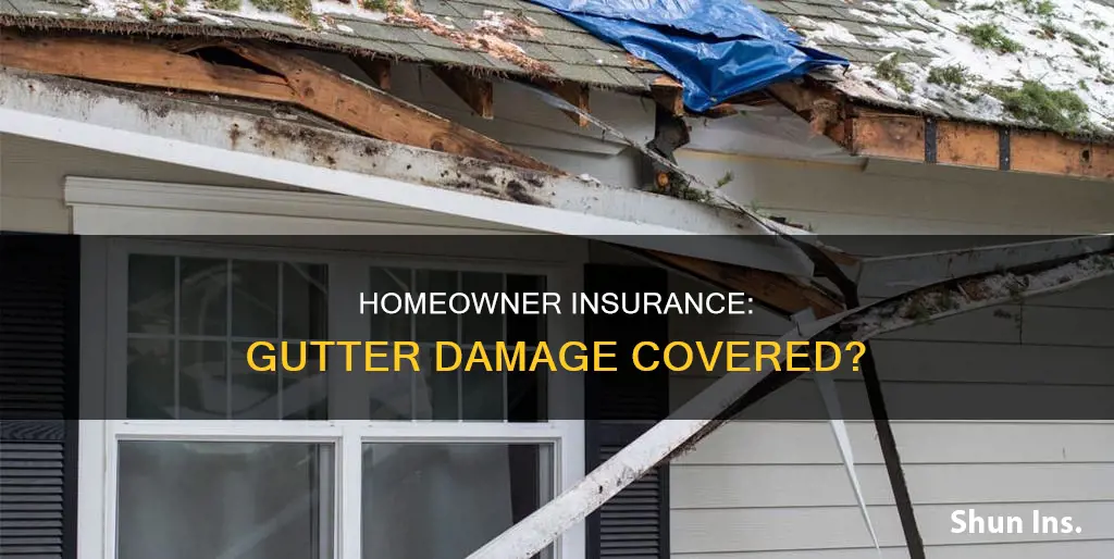 does homeowner insurance paper weather related gutter damage