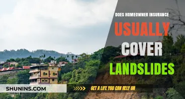 Homeowner Insurance: Landslide Coverage and What to Expect