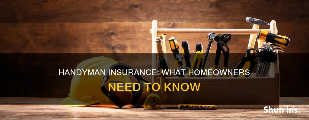 does homeowner requires handyman workers comp insurance