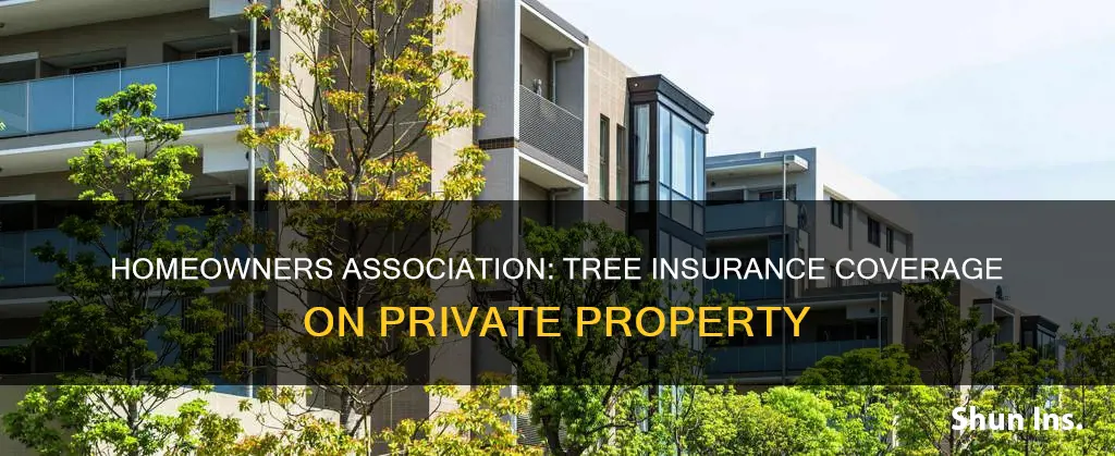 does homeowners association insurance cover trees on private proerty