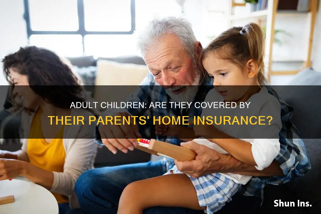 does homeowners insura ce civer adult child living with parent