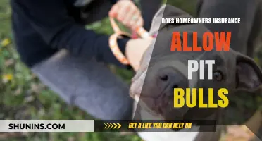 Home Insurance: Pit Bulls and Policies
