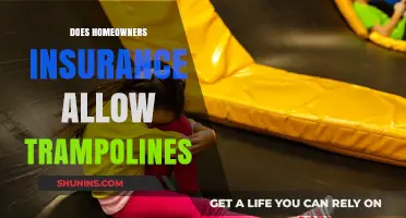 Home Insurance: Trampoline Hazards and Coverage