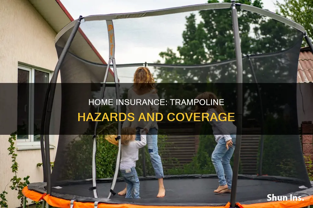 does homeowners insurance allow trampolines