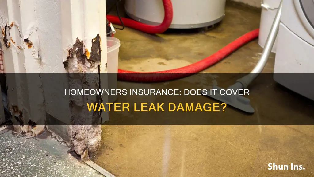 does homeowners insurance cause damage from a water leak
