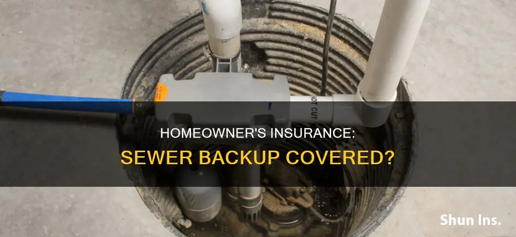 does homeowner