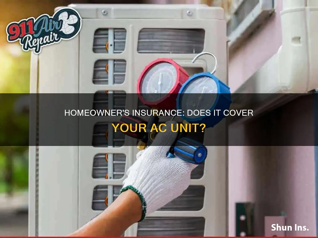does homeowner