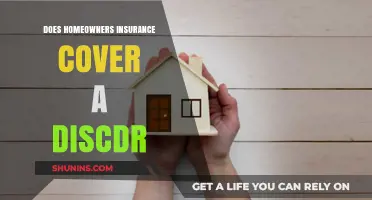 Home Insurance: Disc Drive Coverage